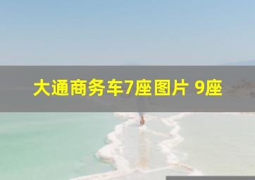 大通商务车7座图片 9座